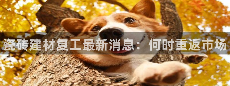 杏鑫注册登录平台是什么