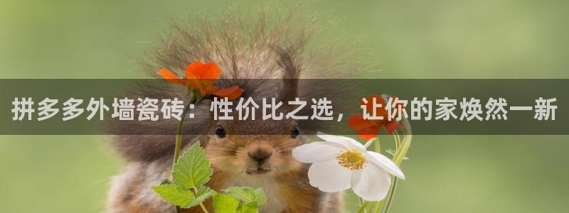杏鑫平台靠谱吗