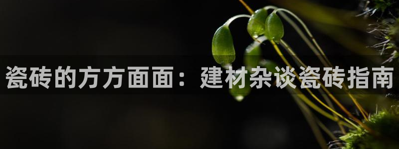 杏鑫官网最新信息新闻