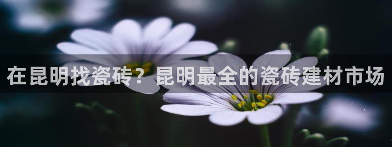 杏鑫娱乐是真的吗