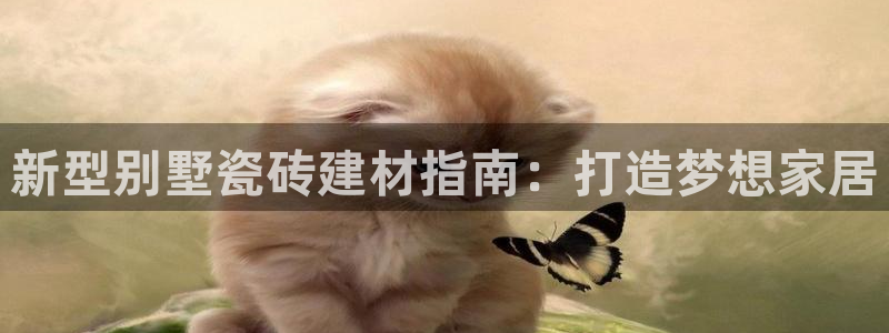 杏鑫平台代理注册流程图