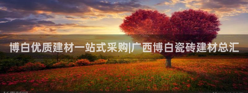 杏鑫官网最新信息新闻