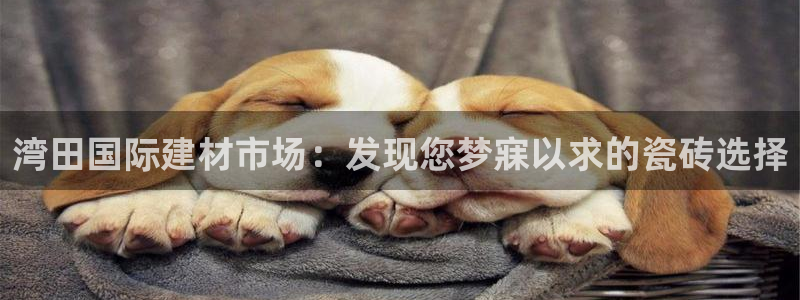 杏鑫娱乐开发团队