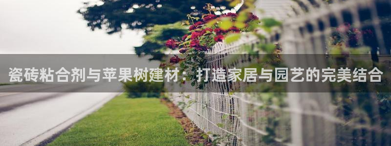 杏鑫平台广7O777