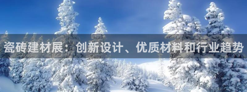 杏鑫主管