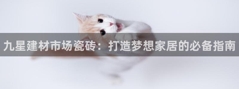 杏鑫平台代理注册流程