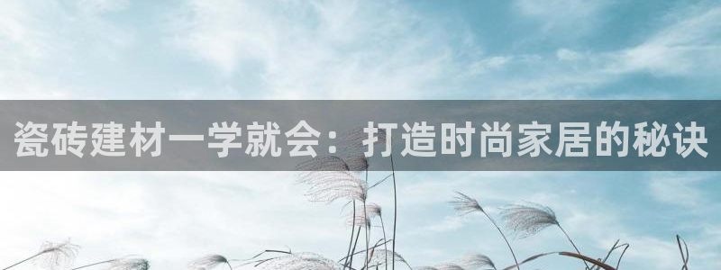 杏鑫招商总代