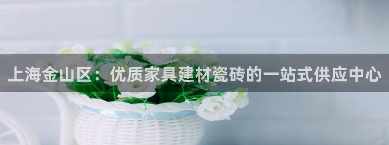 杏鑫平台平台
