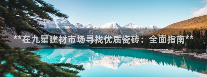 杏鑫平台线路测速