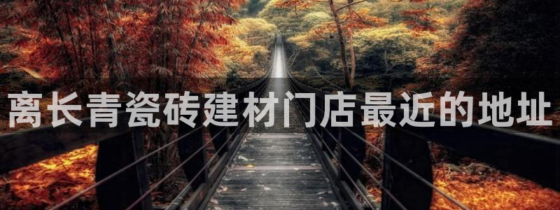 杏鑫主管
