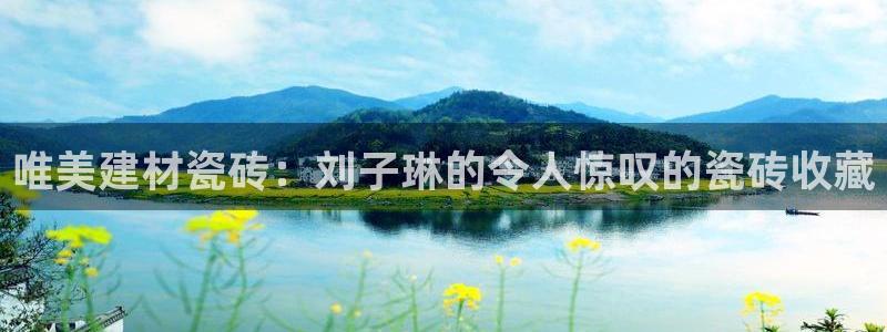 杏鑫官方平台怎么样啊