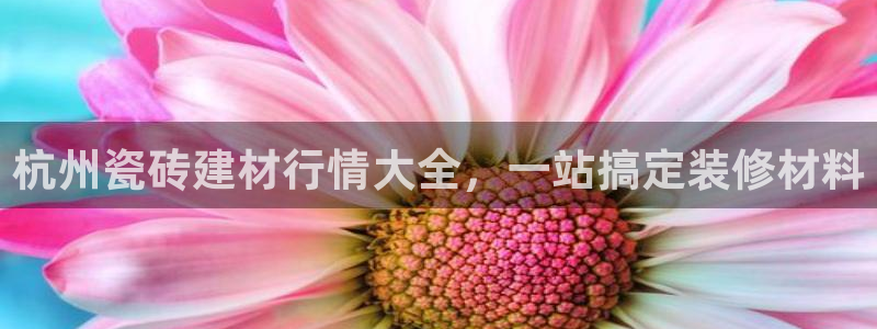 杏鑫平台招商