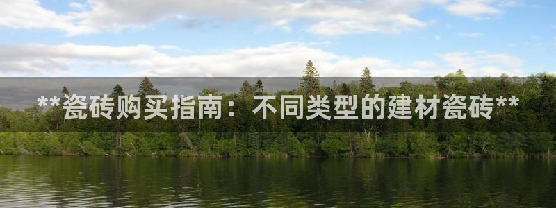 杏鑫平台登录地址是什么