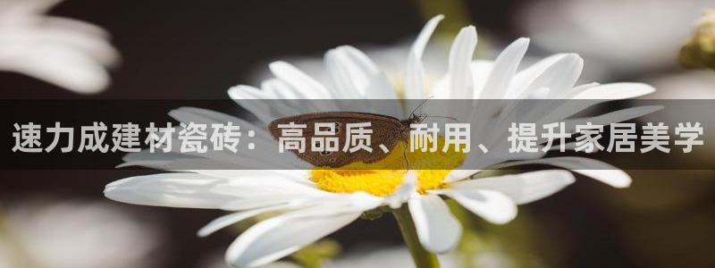 杏鑫平台怎么样知乎