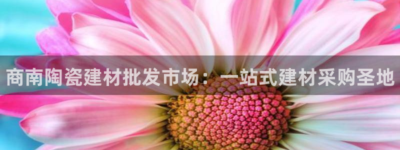 杏鑫平台代理怎么做的