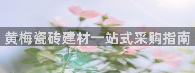 杏鑫平台代理怎么做的