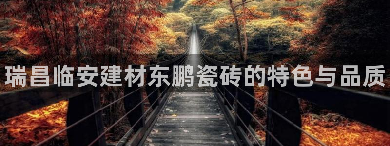 杏鑫平台怎么样黑钱吗安全吗是真的吗