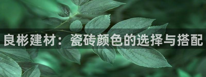 杏鑫平台招商电话号码