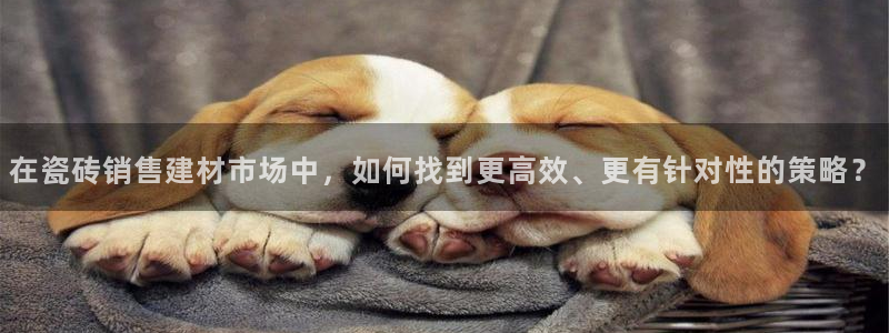 杏鑫官网注册账号是什么样的