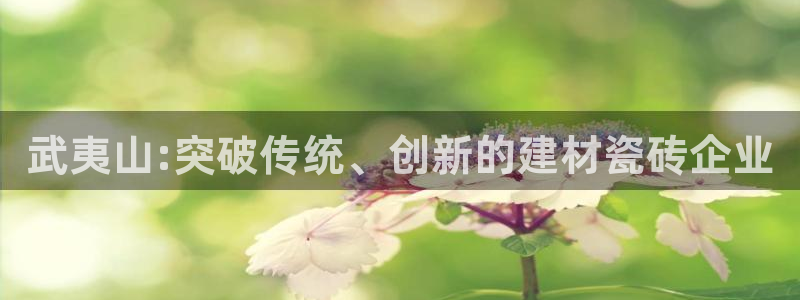 杏鑫平台代理怎么做赚钱
