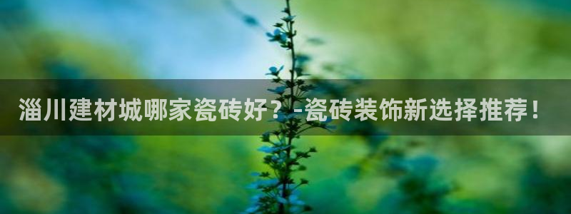 杏鑫官方平台怎么样啊