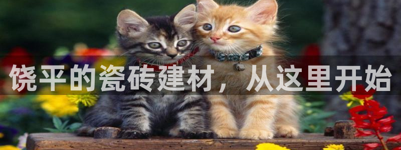 杏鑫娱乐测速