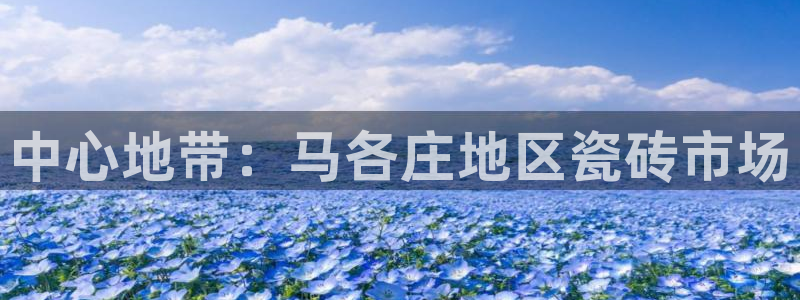 杏鑫官网注册账号怎么注册的