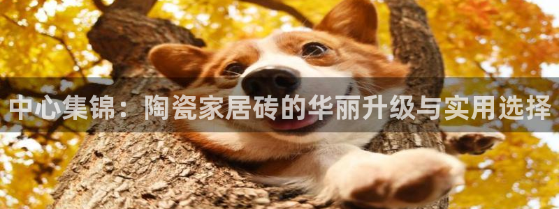 杏鑫平台测速怎么样