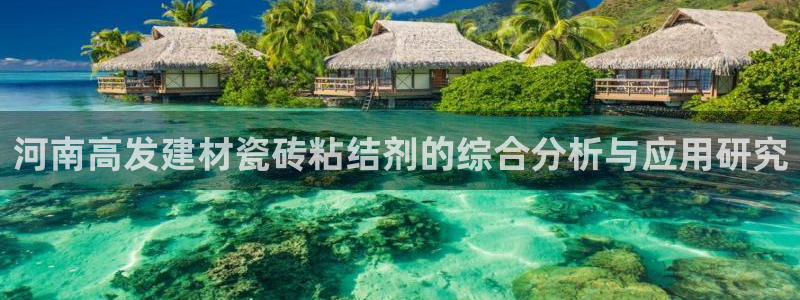 杏鑫娱乐开发团队