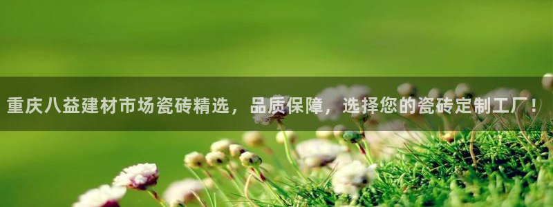 杏鑫平台代理注册流程