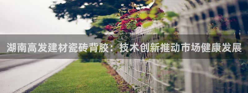 杏鑫平台招商怎么样