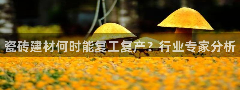 杏鑫注册登录网址是多少