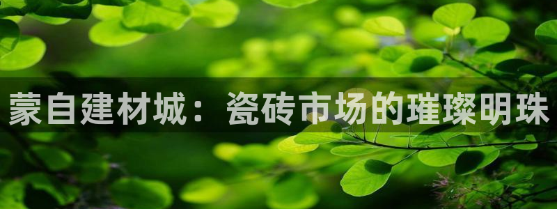杏鑫官方app代理