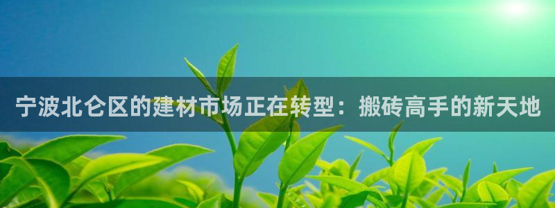 杏鑫平台怎么样黑钱吗是真的吗
