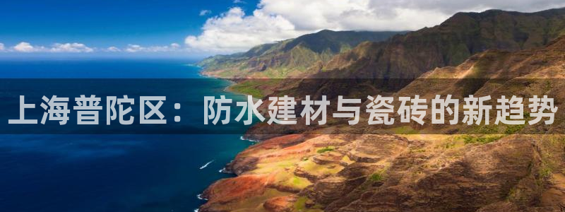 杏鑫代理注册资金多少