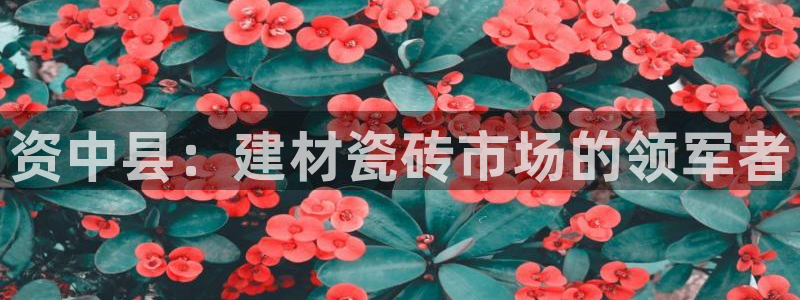 杏鑫平台招商电话