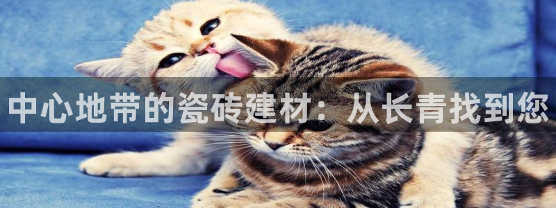 杏鑫娱乐怎么下