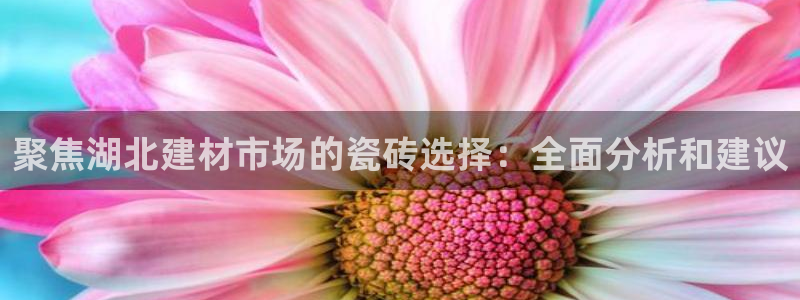 杏鑫娱乐官方网站客户端