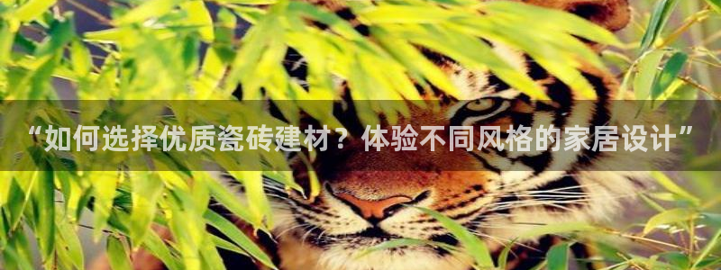 杏鑫娱乐平台测速怎么样