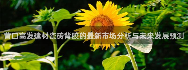 杏鑫官方平台怎么样啊安全吗