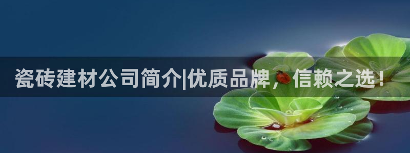 杏鑫平台代理注册