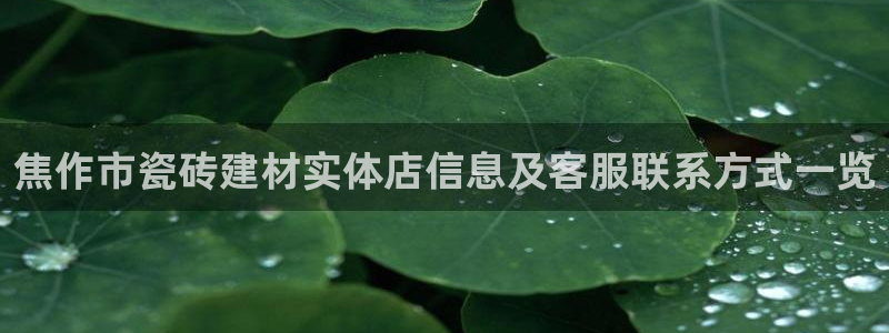 杏鑫平台代理怎么样啊