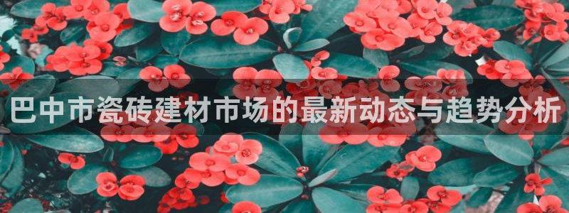 杏鑫平台招商怎么样可靠吗