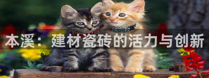 杏鑫平台代理注册登录不了怎么办呀视频