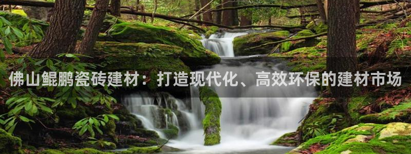 杏鑫平台平台