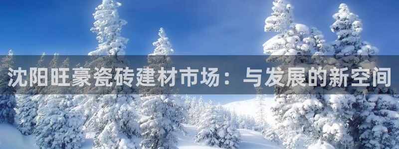 杏鑫平台招商怎么样