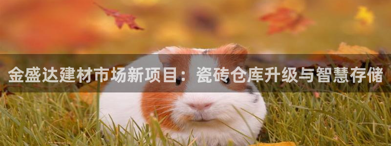 杏鑫平台列7O777