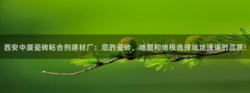 杏鑫官方平台怎么样啊