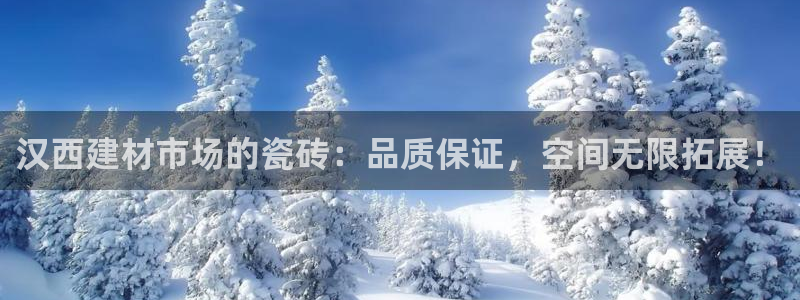 杏鑫平台登陆