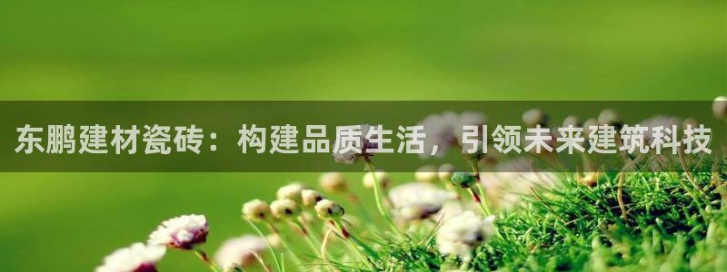 杏鑫平台登陆